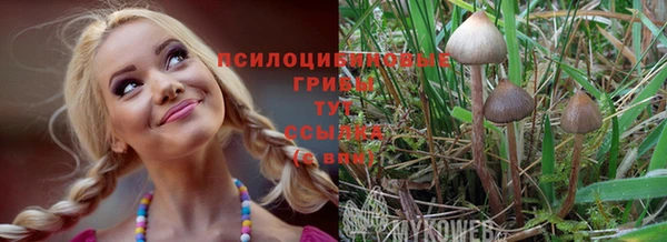 каннабис Абаза