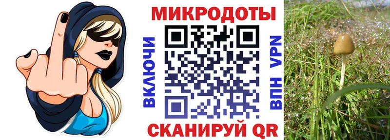 Псилоцибиновые грибы GOLDEN TEACHER  Грозный 